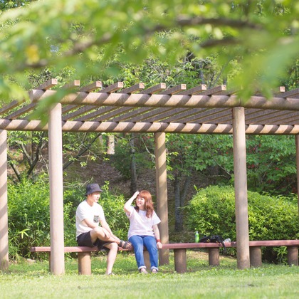 キタノフォトオフィス (北野尚史)が撮影した「:albumName」の写真