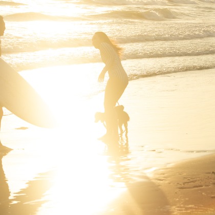 眞田 厚司が出張撮影したペンギン, スポーツグループ, イヌ科などが写った「家族写真・子供写真」の家族写真