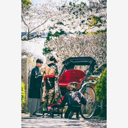 ヨッシ～が撮影した「:albumName」の写真