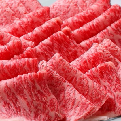 森安　照が撮影した「:albumName」の写真