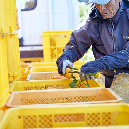大橋裕紀が撮影したイベント/スナップ撮影/商品/物撮り/人物撮影の写真