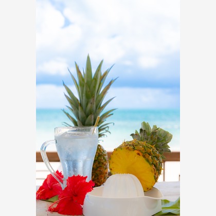 山口写真事務所が撮影した「:albumName」の写真