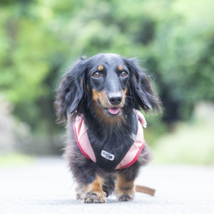 株式会社スマイルプロアートが撮影したその他の写真