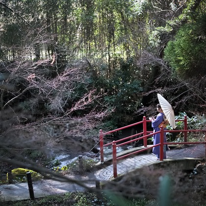 66 atelierが出張撮影した「記念」の家族写真