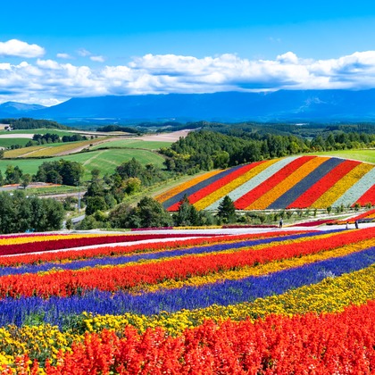 むらたたかしが撮影した「:albumName」の写真