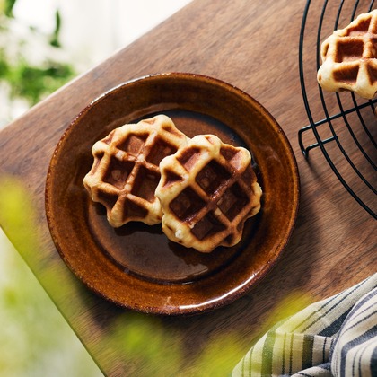 溝口拓が撮影した「:albumName」の写真