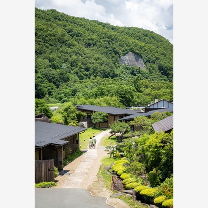 吉田佳央が撮影した「:albumName」の写真