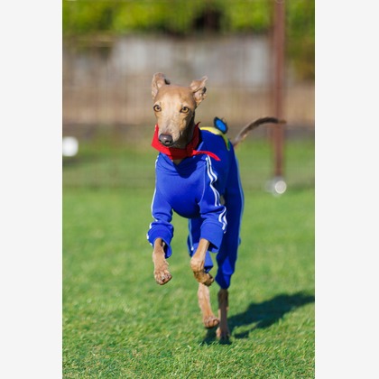 T.Matsumuraが撮影したイベント/スナップ撮影の写真