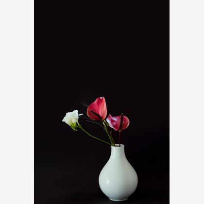 𠮷岡銀河が撮影した商品/物撮りの写真