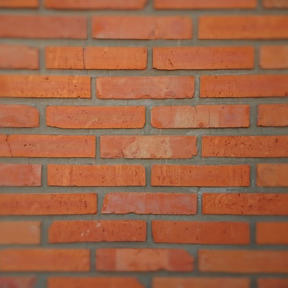 出張撮影のメモリーズが撮影した「:albumName」の写真