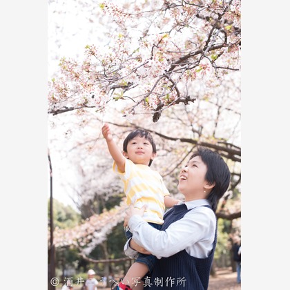 酒井こうへい写真製作所が出張撮影した入学式, 肌, 桜が写った家族写真の出張撮影の写真