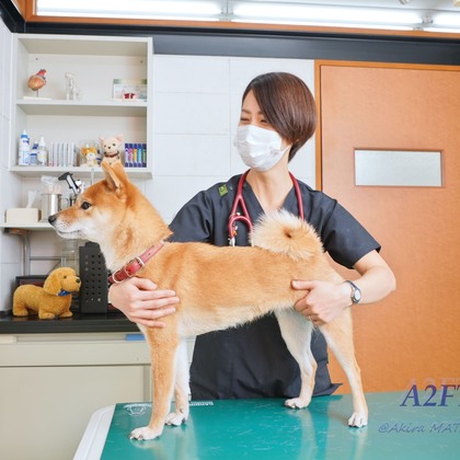 A2FT.jpフォトグラファーまつもとあきらが撮影したウェディングや家族、ビジネスの写真