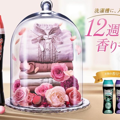 （有）プロヴィデンスが撮影した「:albumName」の写真