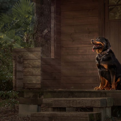 梅田　紫邑が撮影したその他の写真