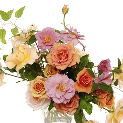 有限会社　澤田スタジオが撮影した「:albumName」の写真