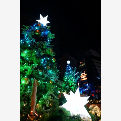 鈴木賢志が撮影した「四季折々の風景写真」の写真