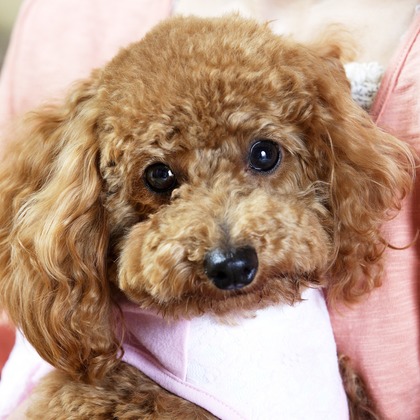 森安　照が撮影した「:albumName」の写真