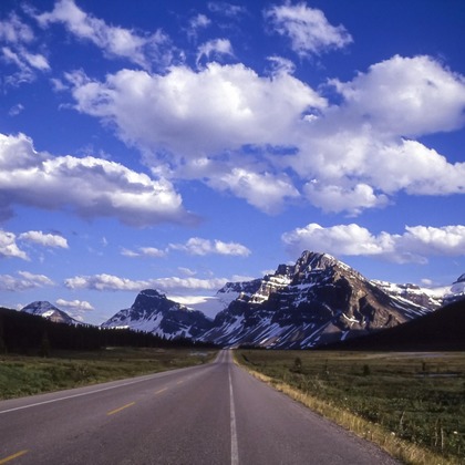 合同会社めろんぱん・ふぉとが撮影したその他/店舗/オフィス/サロン撮影の写真