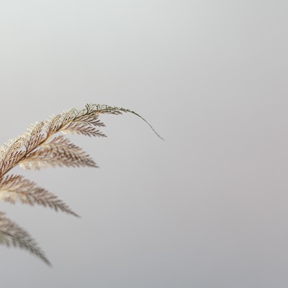𠮷岡銀河が撮影した人物撮影の写真
