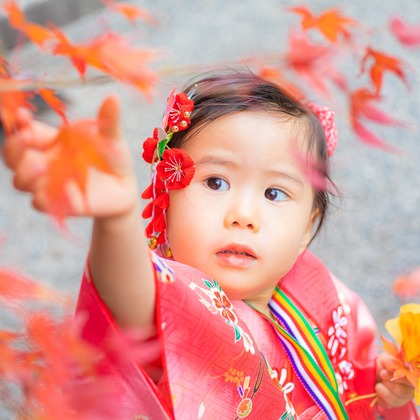 大森美紗生が撮影した「武田神社(山梨県)での七五三ロケーションフォト」の写真