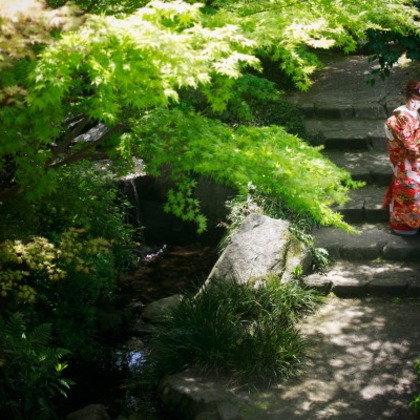 ピュアアーティス(小島 靖雄)が撮影した「:albumName」の写真