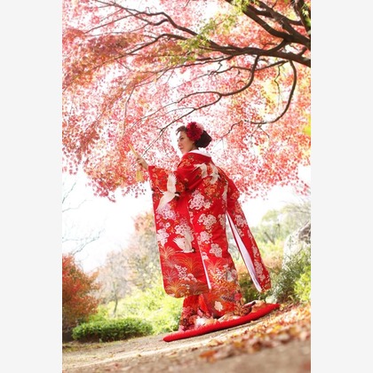 Wedding, Bridal Photos taken by Studio TVB