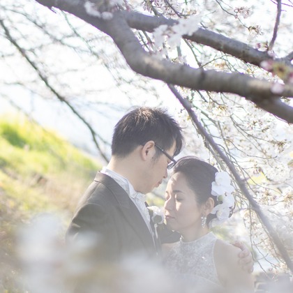 Photo of Kyoto　Prewedding photo with cherryblossom taken by saruco(Hisashi Iwasaki)