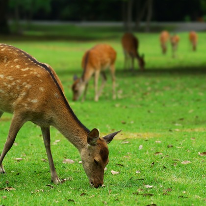 難波卓美が撮影したイベント/スナップ撮影の写真