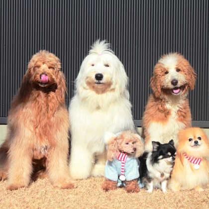 外川博己が撮影したその他の写真