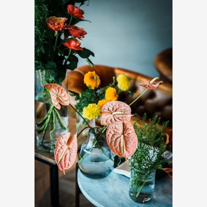 F写真事務所が撮影した「:albumName」の写真