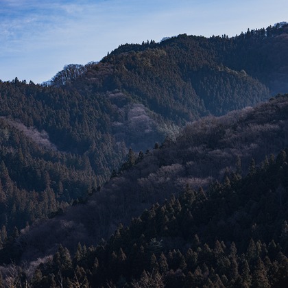 studio9thが撮影した「:albumName」の写真