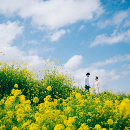 Photo of :albumName taken by t_pictures