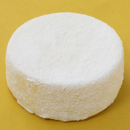 森安　照が撮影した「:albumName」の写真