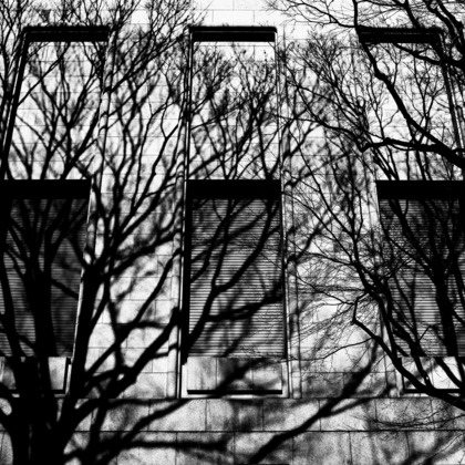 kiharu&photoが撮影した「:albumName」の写真