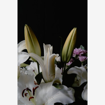 blankが撮影した料理撮影/商品/物撮りの写真