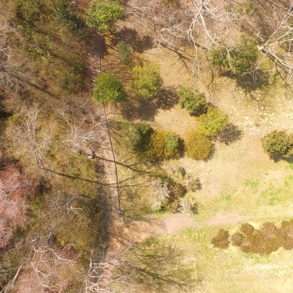 アナハイムエレクトロニクスが撮影したイベント/スナップ撮影の写真