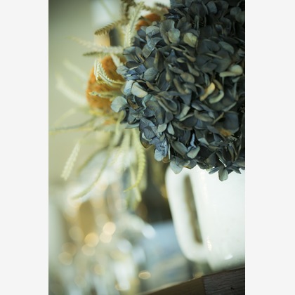 布川航太が撮影した「:albumName」の写真