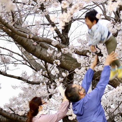 TATEZOUが撮影した「:albumName」の写真