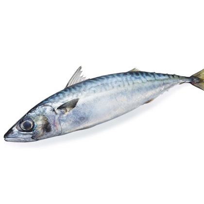 西原毅が撮影した料理撮影の写真