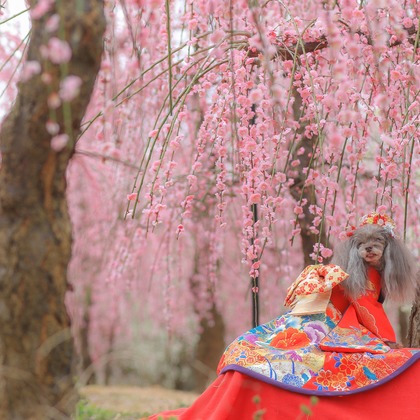 高橋 透（Coo&Sea STUDIO代表）が撮影した「:albumName」の写真