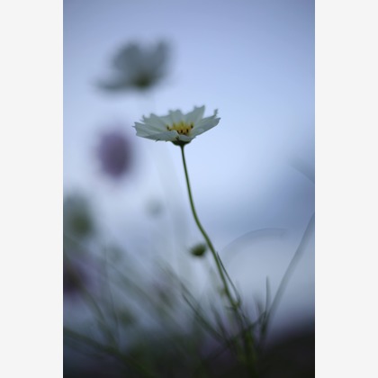 写真屋gonree　阿波根里恵が撮影した旅行先の記念撮影の写真