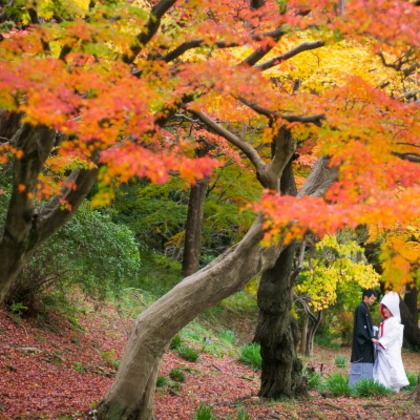 ピュアアーティス(小島 靖雄)が撮影した「:albumName」の写真