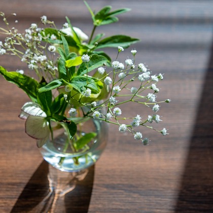 PhotoBaseありよしが撮影した商品/物撮りの写真