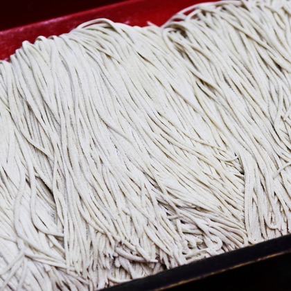 森安　照が撮影した「:albumName」の写真