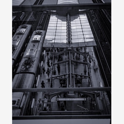 西川　正浩が撮影した「:albumName」の写真