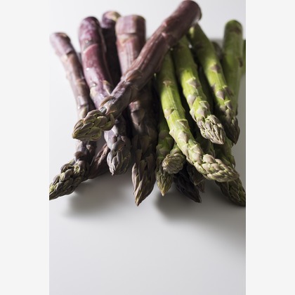 東谷　幸一が撮影した「:albumName」の写真