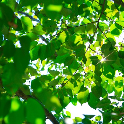 blink photoが撮影したウェディングや家族、ビジネスの写真