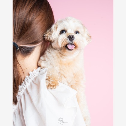 Ray Yamaguchiが撮影したその他/スタジオ撮影/家族写真の出張撮影/七五三フォトの写真