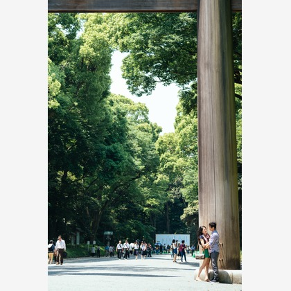 Photo of :albumName taken by C PhotoGraphic