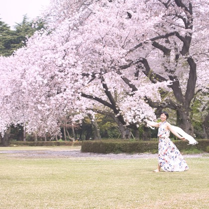 naru2photoが撮影したその他の写真